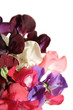 wet sweet pea bouquet