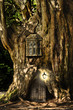 Fantasy fairytale miniature house in tree in forest