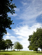 cloudscape