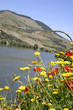 vallée du Douro, Portugal