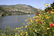 Vallée du Douro, Portugal