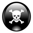 czaszka - skull