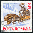 să poarte şi un porc