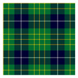Cameron Tartan