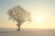 Foto: Frosted tree backlit by the rising sun Frosted tree backlit by the rising sun