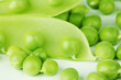 Pea isolated on white