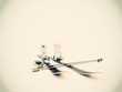 sci scarponi racchette rendering 3d