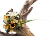 A bunch of flowers on white on tree stump