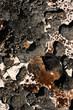 Photo: Volcanic Rock Texture Volcanic Rock Texture