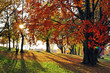 Herbststimmung