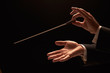 Conductor conducting an orchestra