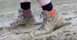 shoe in mud