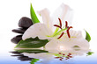 Steine,Wellness