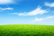 field of grass and perfect sky