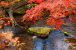 Fall creek