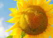 Blumenherz q.