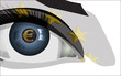 greedy eye with euro sign, background