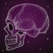 Skull from shiny dots, very nice with lacquer print
