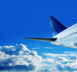 jumbo jet in sky
