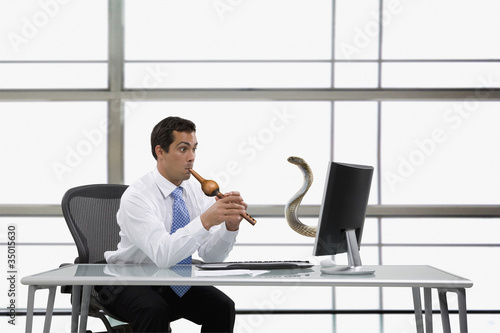 Photo: Pacific Islander businessman charming snake Pacific Islander businessman charming snake