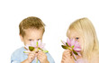 2 Kinder mit einer Seerose 2 Kinder mit einer Seerose