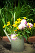 sommerblumen