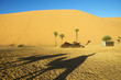 Shadow of camel on desert sand