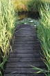 Wassersteg, Steg, Teich, Gartenteich Wassersteg, Steg, Teich, Gartenteich