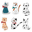Cats Cats