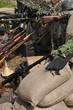 military
