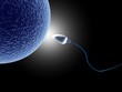 human sperm