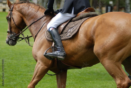 Photo: cheval 3 cheval 3