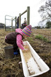 Caucasian girl placing grain in trough
