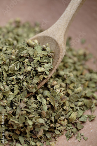 Foto: Close up of Mexican oregano and wooden spoon Close up of Mexican oregano and wooden spoon