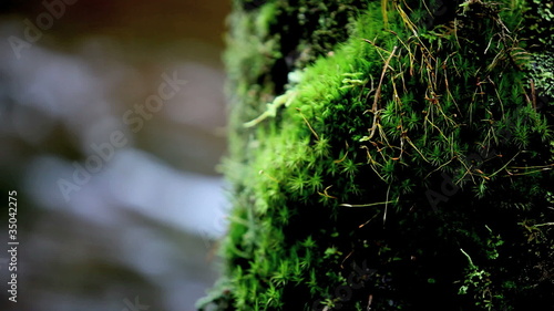 photo par mrivserg