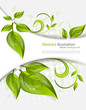 Background with leaves Background with leaves