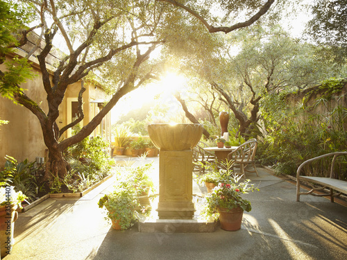 Photo: Sunflare coming through outdoor patio area in nature with fountain in foreground Sunflare coming through outdoor patio area in nature with fountain in foreground