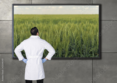 Foto: Hispanic scientist looking at agricultural image on television screen Hispanic scientist looking at agricultural image on television screen