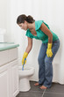 Hispanic woman scrubbing toilet in bathroom