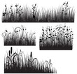 Decor Style Black Shape Floral Grass Decor Style Black Shape Floral Grass