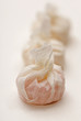 Close up of candy in wrapped paper
