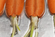 Close up of sliced carrots