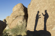 Shadow of businessmen talking in desert