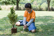 Hispanic boy planting tree