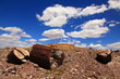 Blue sky over petrified tree trunk