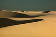 Sunshine on desert sand dune