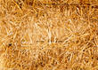 bale golden straw texture ruminants animal food bale golden straw texture ruminants animal food