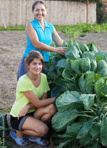 Photo: women in brussels sprouts plant women in brussels sprouts plant