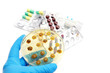 genetically modified fungi