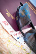 Préparatifs de voyage Préparatifs de voyage